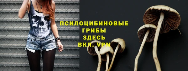 шишки Богданович
