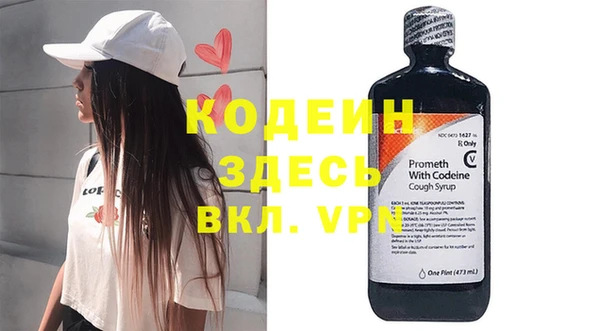 молекула духа Богородицк