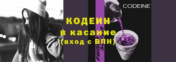 молекула духа Богородицк