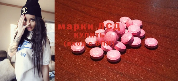 мдпв Инсар