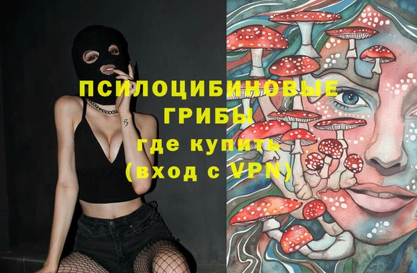 spice Богородск