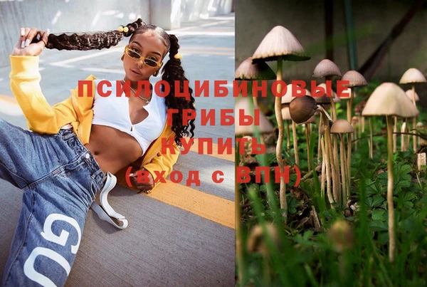 шишки Богданович