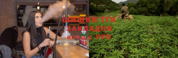 молекула духа Богородицк