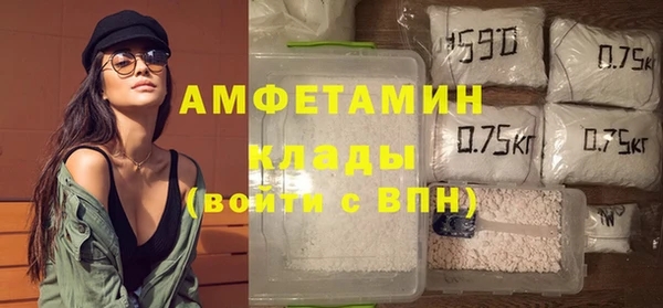 молекула духа Богородицк