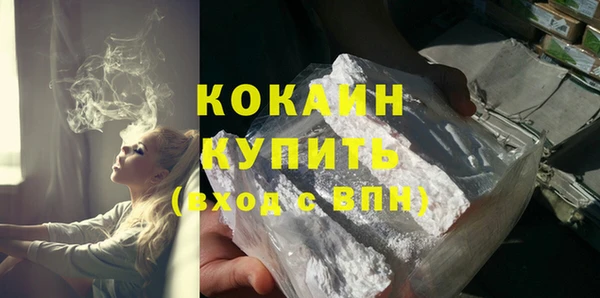 молекула духа Богородицк